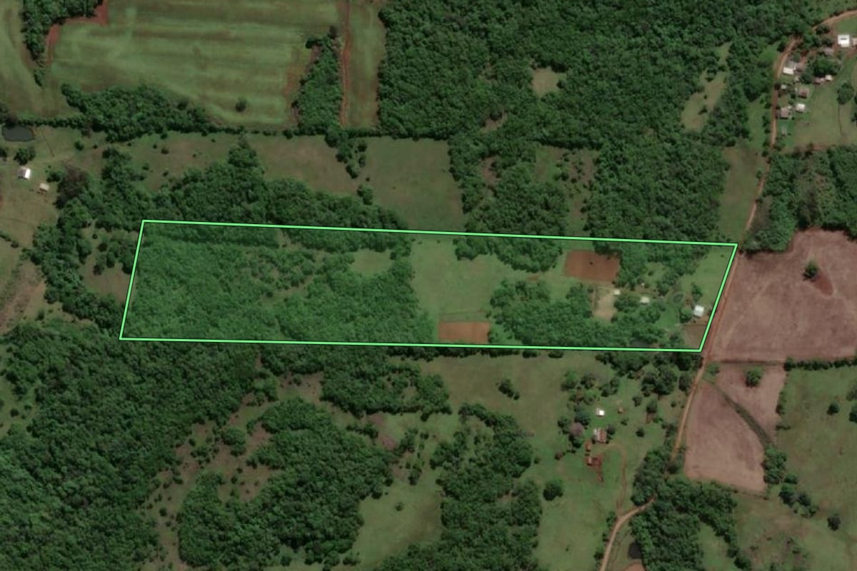 Imagem de satélite do imóvel rural em Porto Xavier (RS), com o contorno declarado no CAR desenhado por cima.