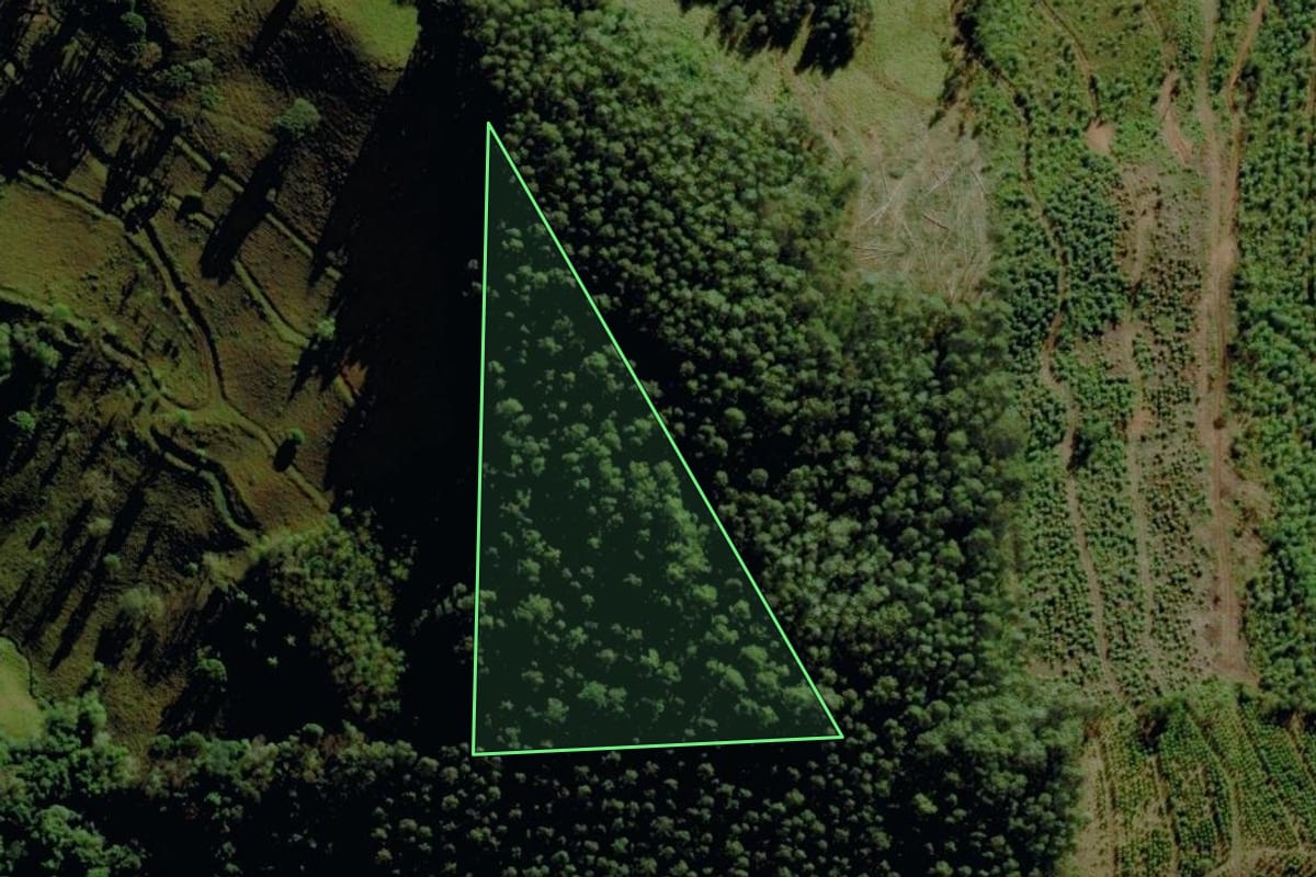 Imagem de satélite do imóvel rural em Pouso Novo (RS), com o contorno declarado no CAR desenhado por cima.
