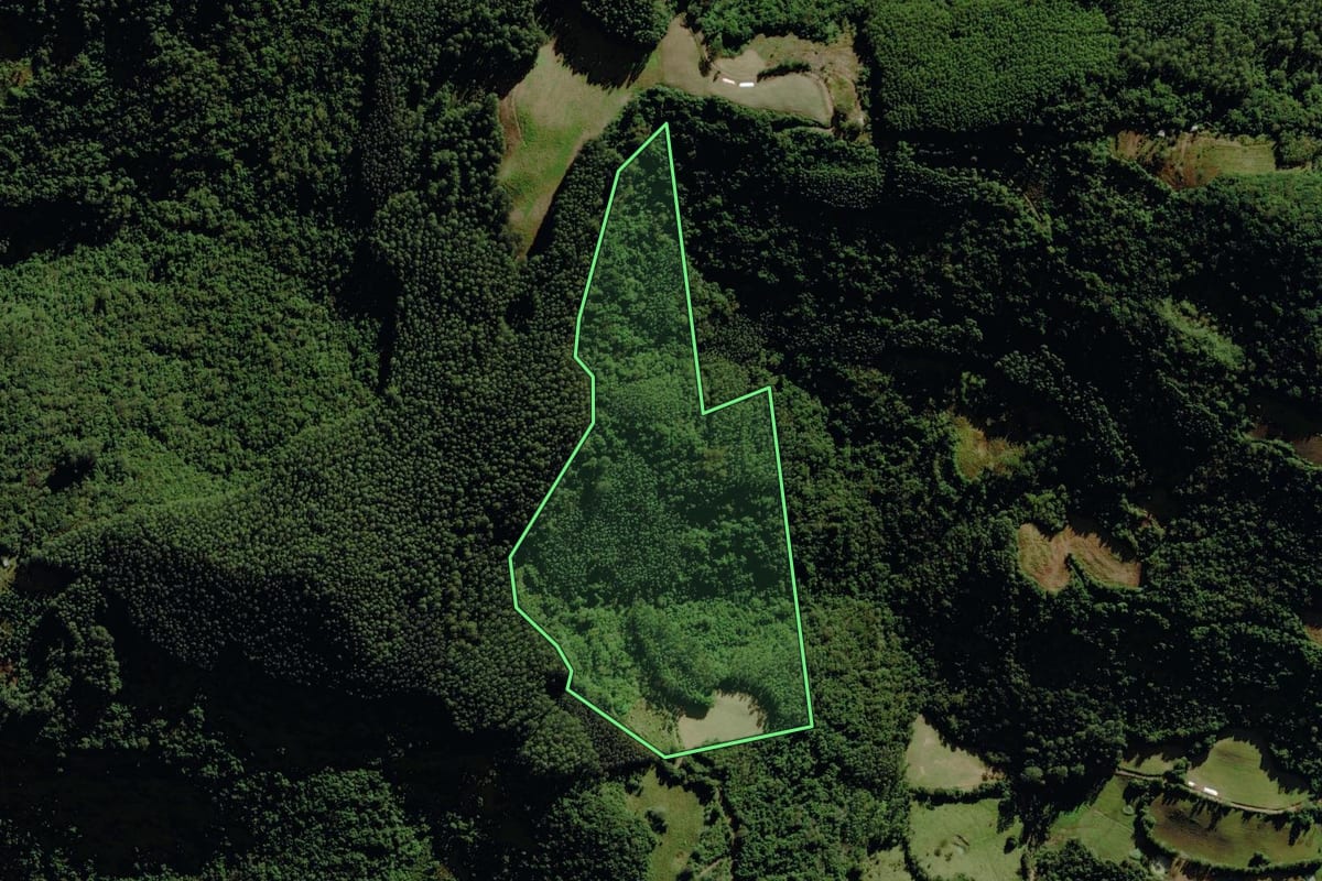 Imagem de satélite do imóvel rural em Pouso Novo (RS), com o contorno declarado no CAR desenhado por cima.