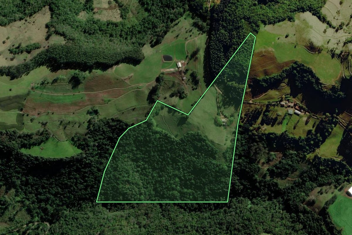 Imagem de satélite do imóvel rural em Pouso Novo (RS), com o contorno declarado no CAR desenhado por cima.