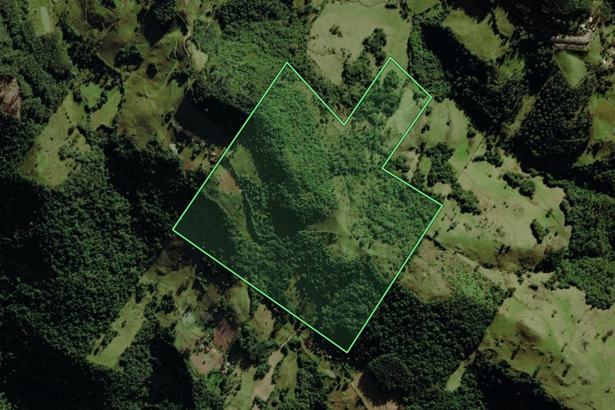 Imagem de satélite do imóvel rural em Pouso Novo (RS), com o contorno declarado no CAR desenhado por cima.