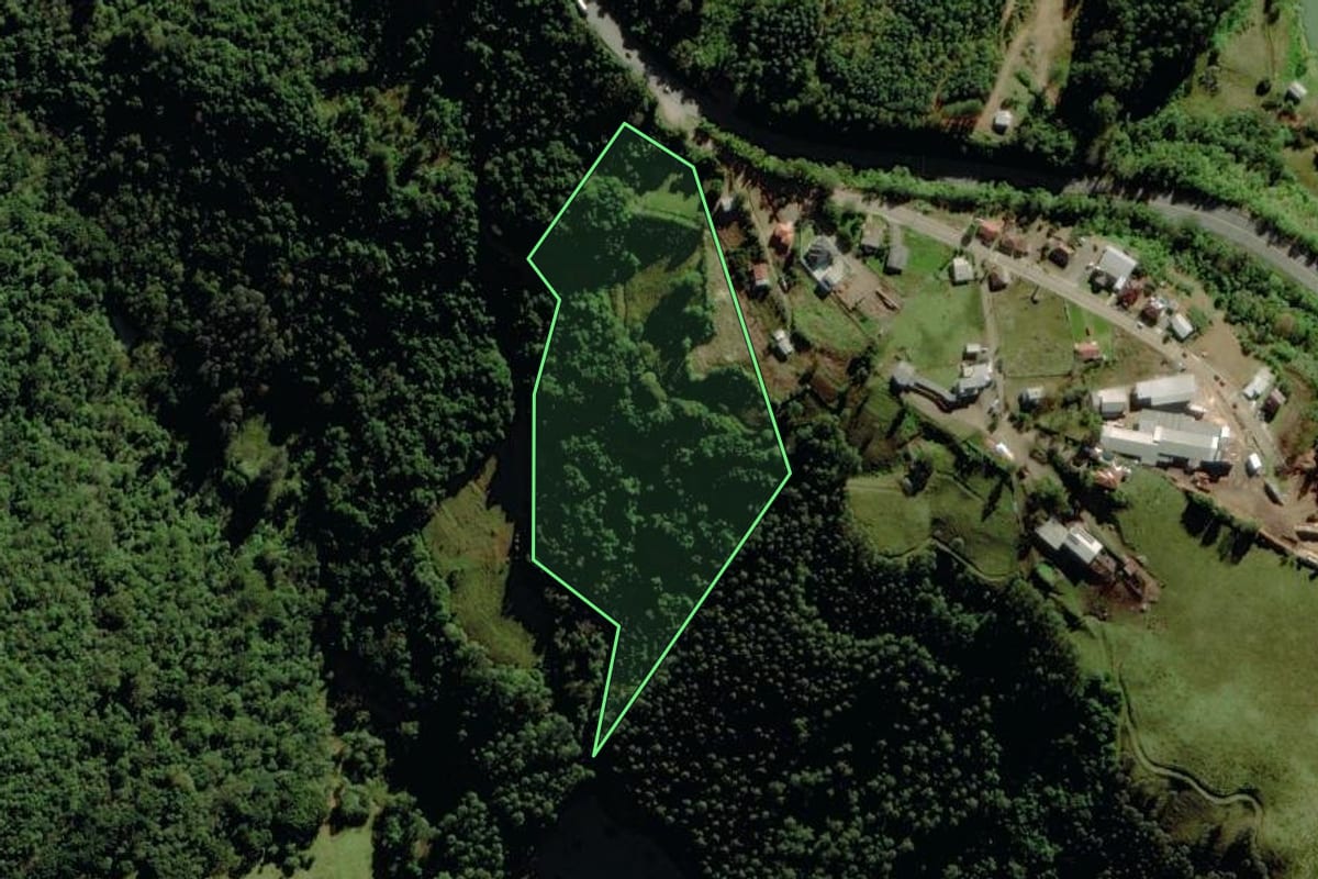Imagem de satélite do imóvel rural em Pouso Novo (RS), com o contorno declarado no CAR desenhado por cima.