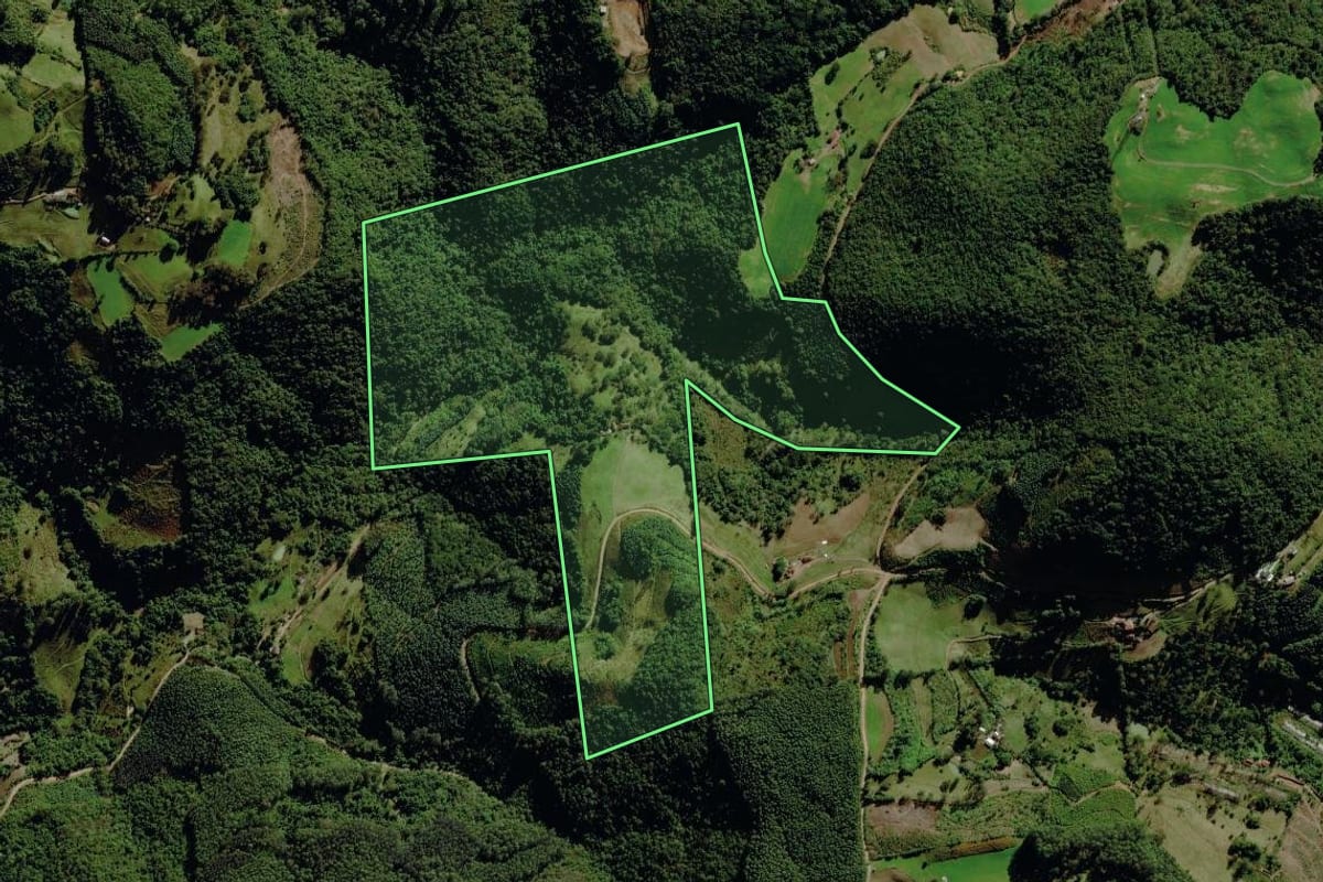 Imagem de satélite do imóvel rural em Pouso Novo (RS), com o contorno declarado no CAR desenhado por cima.