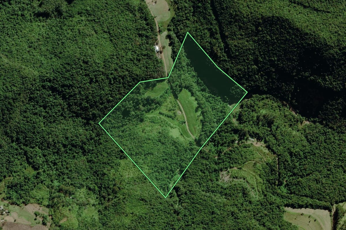 Imagem de satélite do imóvel rural em Pouso Novo (RS), com o contorno declarado no CAR desenhado por cima.