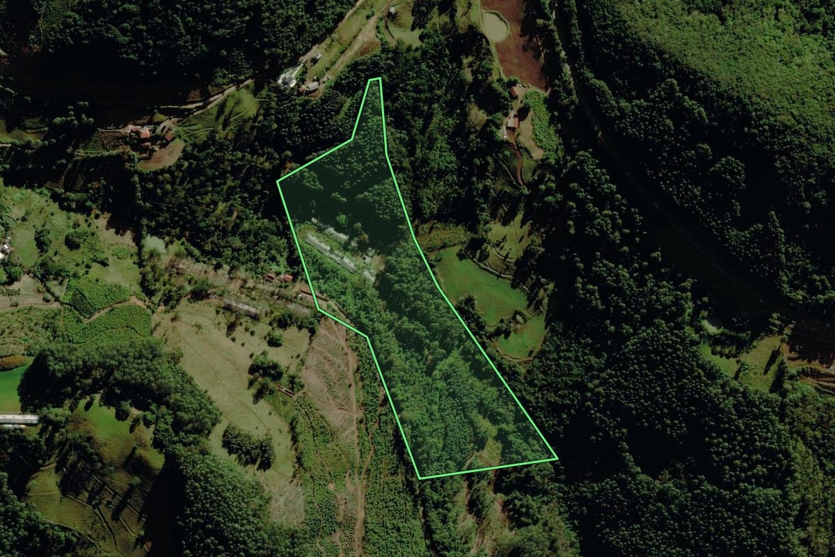 Imagem de satélite do imóvel rural em Pouso Novo (RS), com o contorno declarado no CAR desenhado por cima.
