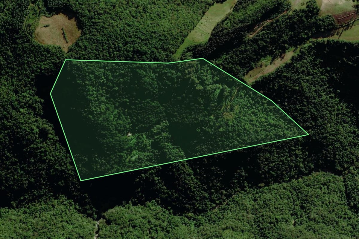 Imagem de satélite do imóvel rural em Pouso Novo (RS), com o contorno declarado no CAR desenhado por cima.