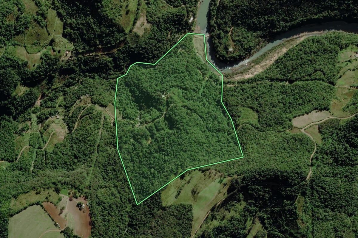 Imagem de satélite do imóvel rural em Pouso Novo (RS), com o contorno declarado no CAR desenhado por cima.