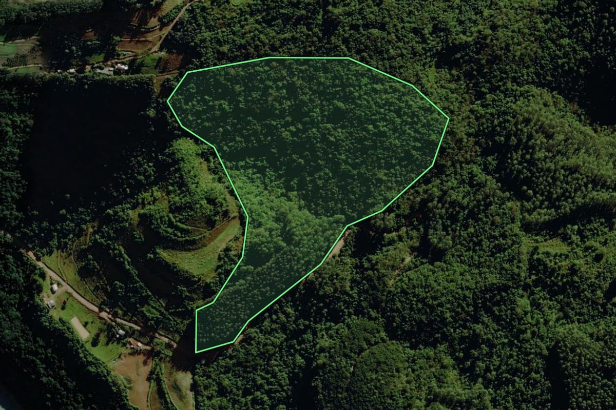 Imagem de satélite do imóvel rural em Pouso Novo (RS), com o contorno declarado no CAR desenhado por cima.