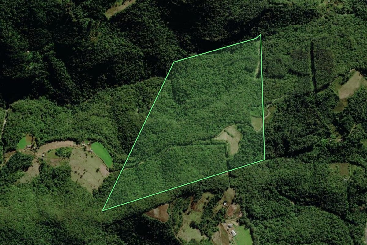 Imagem de satélite do imóvel rural em Pouso Novo (RS), com o contorno declarado no CAR desenhado por cima.