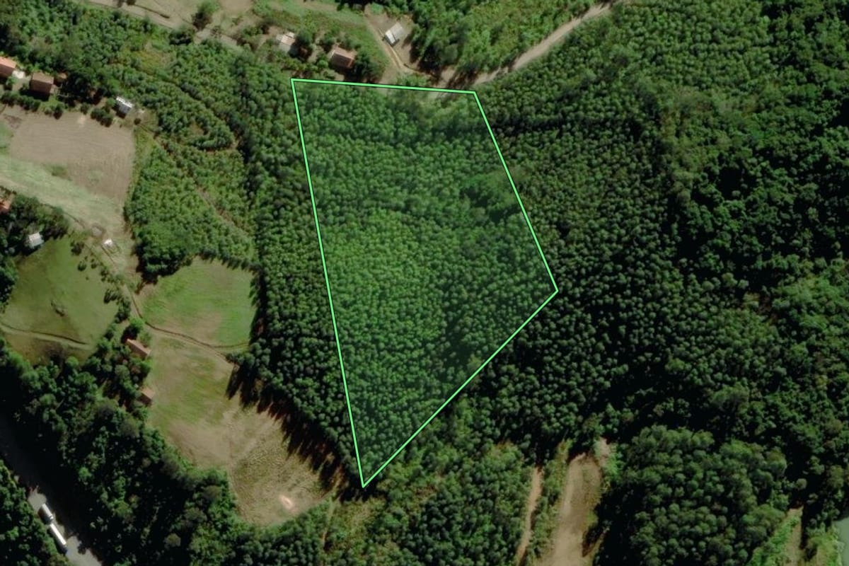 Imagem de satélite do imóvel rural em Pouso Novo (RS), com o contorno declarado no CAR desenhado por cima.