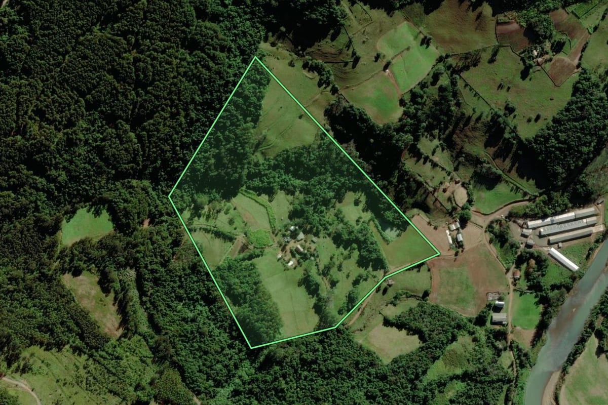Imagem de satélite do imóvel rural em Pouso Novo (RS), com o contorno declarado no CAR desenhado por cima.