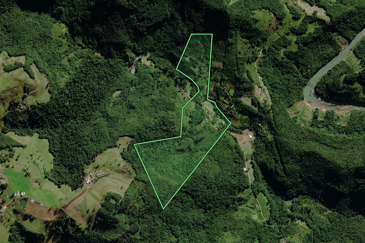 Imagem de satélite do imóvel rural em Pouso Novo (RS), com o contorno declarado no CAR desenhado por cima.