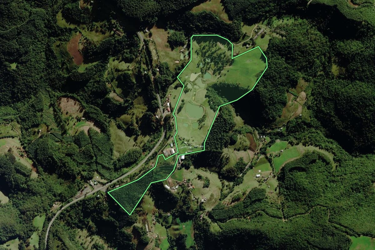 Imagem de satélite do imóvel rural em Pouso Novo (RS), com o contorno declarado no CAR desenhado por cima.