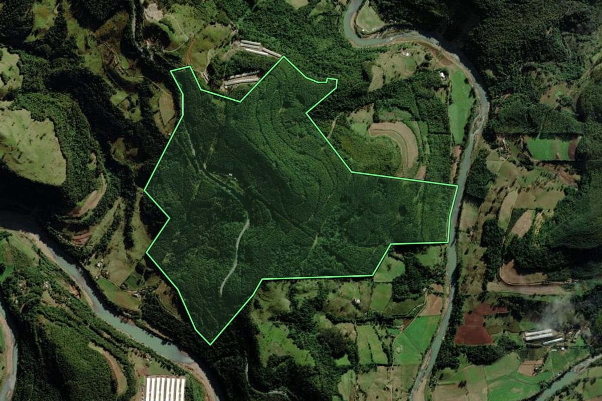 Imagem de satélite do imóvel rural em Pouso Novo (RS), com o contorno declarado no CAR desenhado por cima.