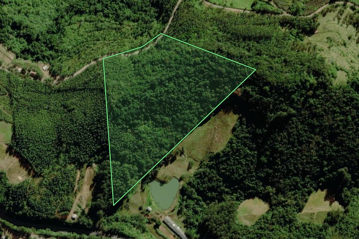 Imagem de satélite do imóvel rural em Pouso Novo (RS), com o contorno declarado no CAR desenhado por cima.