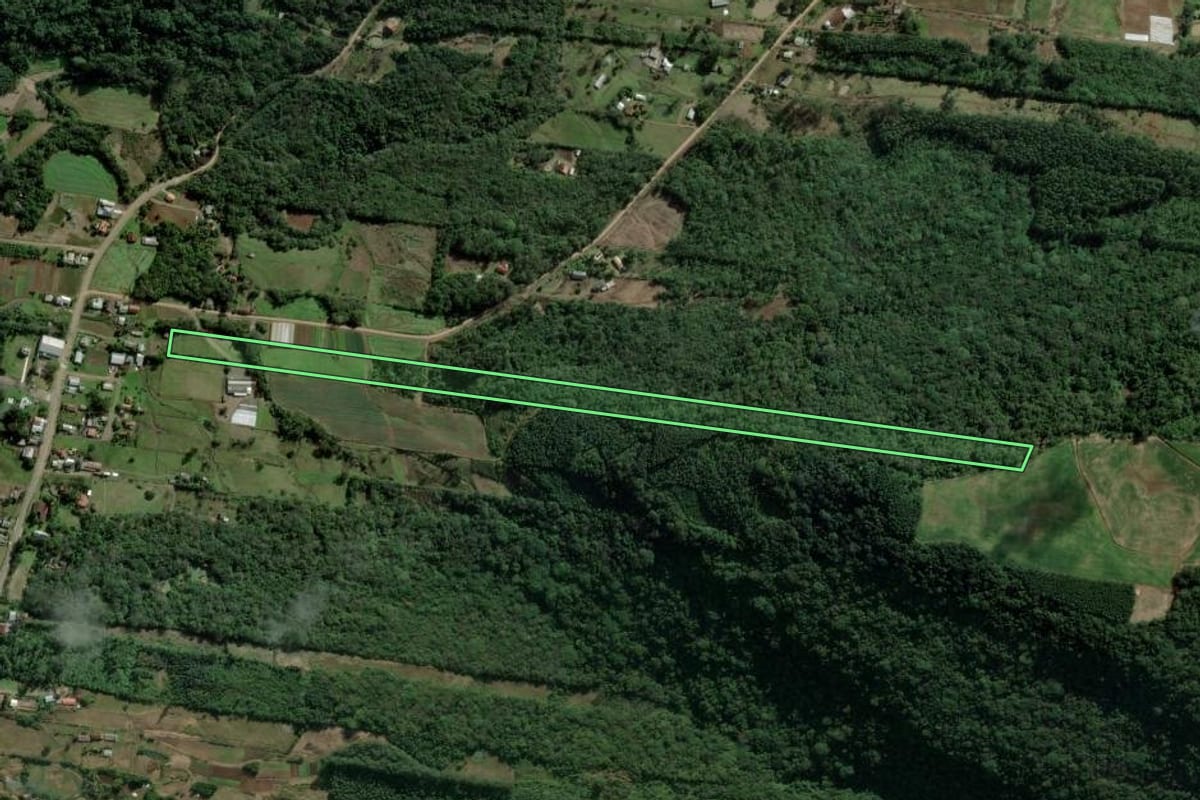 Imagem de satélite do imóvel rural em Presidente Lucena (RS), com o contorno declarado no CAR desenhado por cima.