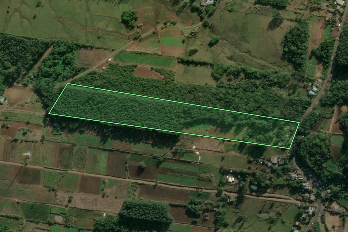Imagem de satélite do imóvel rural em Presidente Lucena (RS), com o contorno declarado no CAR desenhado por cima.