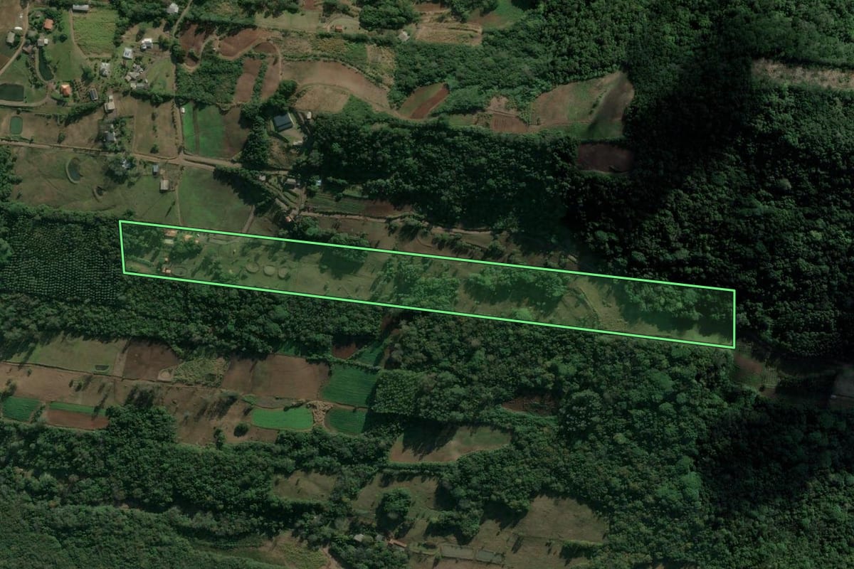 Imagem de satélite do imóvel rural em Presidente Lucena (RS), com o contorno declarado no CAR desenhado por cima.