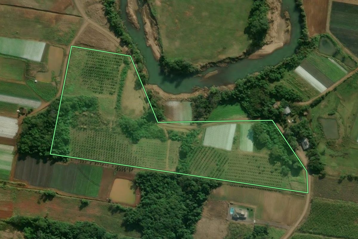 Imagem de satélite do imóvel rural em Presidente Lucena (RS), com o contorno declarado no CAR desenhado por cima.