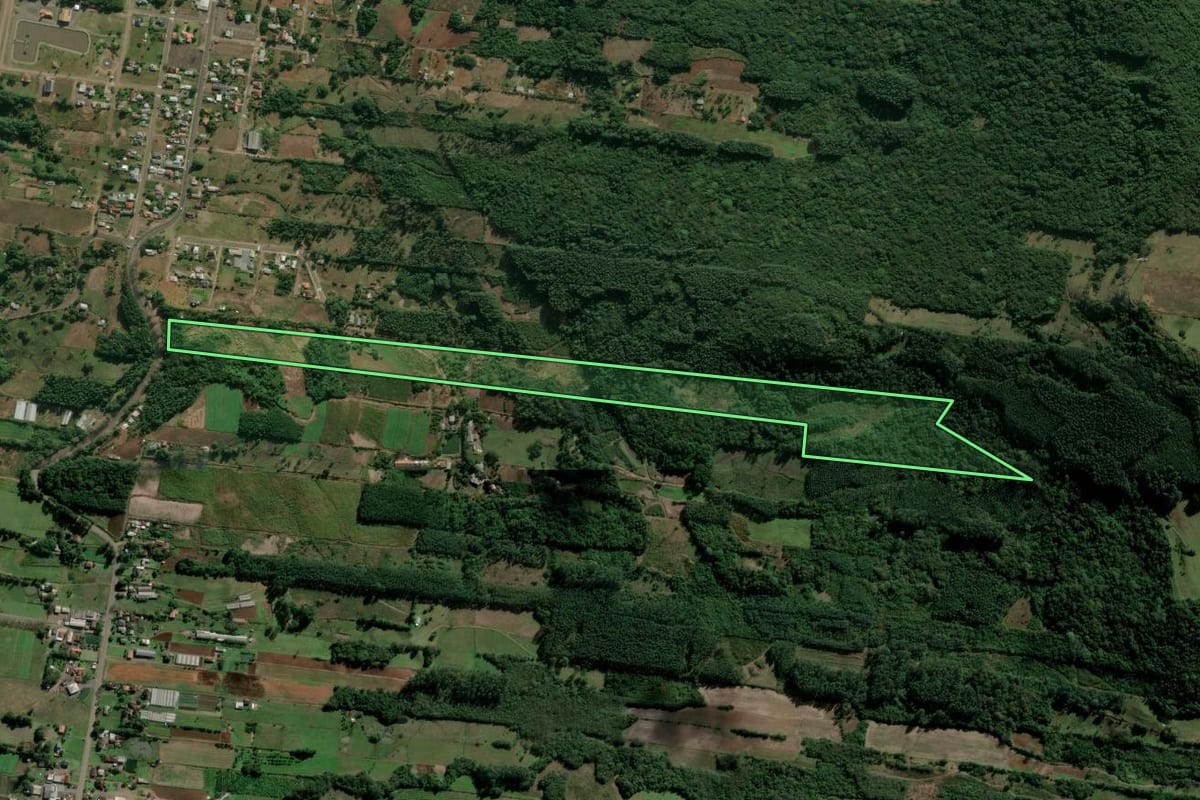 Imagem de satélite do imóvel rural em Presidente Lucena (RS), com o contorno declarado no CAR desenhado por cima.