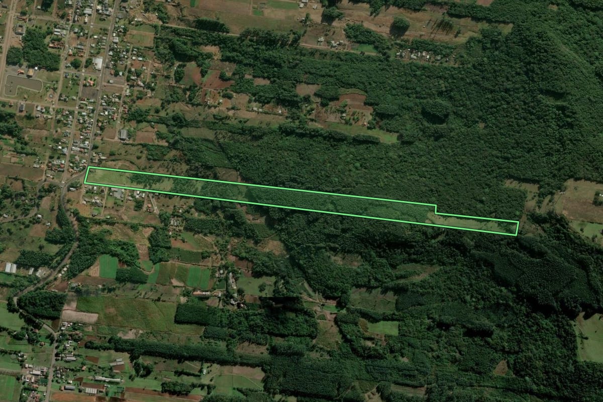 Imagem de satélite do imóvel rural em Presidente Lucena (RS), com o contorno declarado no CAR desenhado por cima.