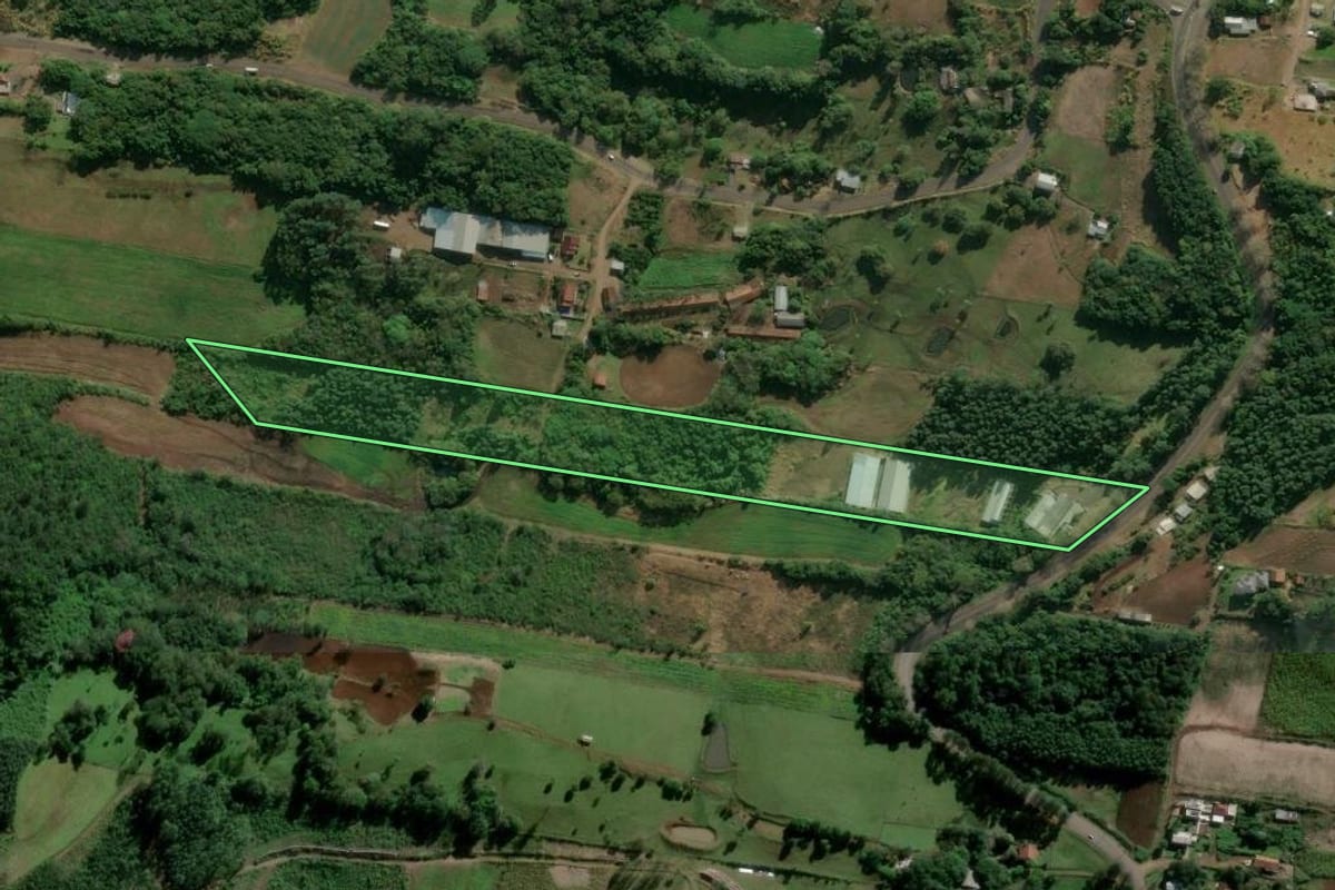 Imagem de satélite do imóvel rural em Presidente Lucena (RS), com o contorno declarado no CAR desenhado por cima.