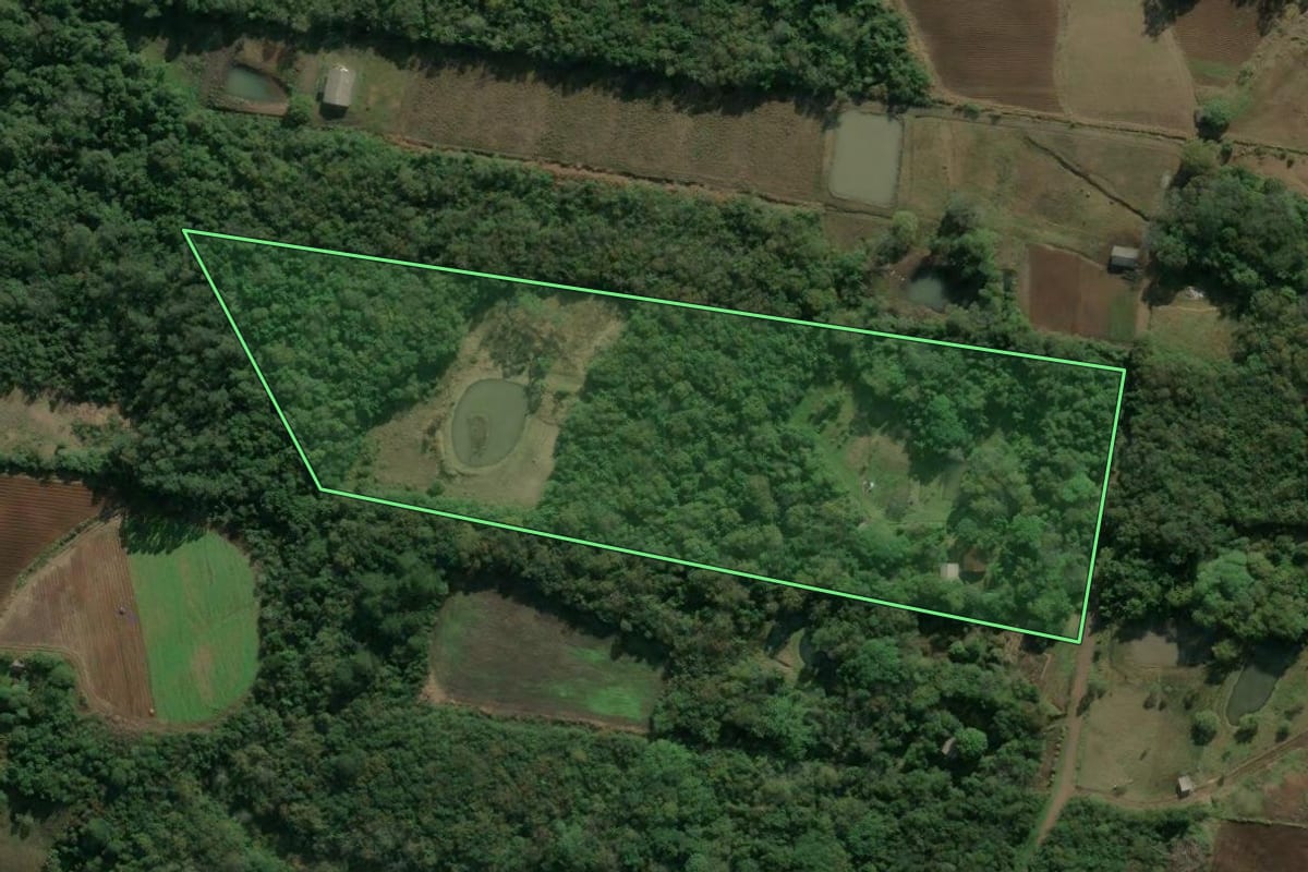 Imagem de satélite do imóvel rural em Presidente Lucena (RS), com o contorno declarado no CAR desenhado por cima.