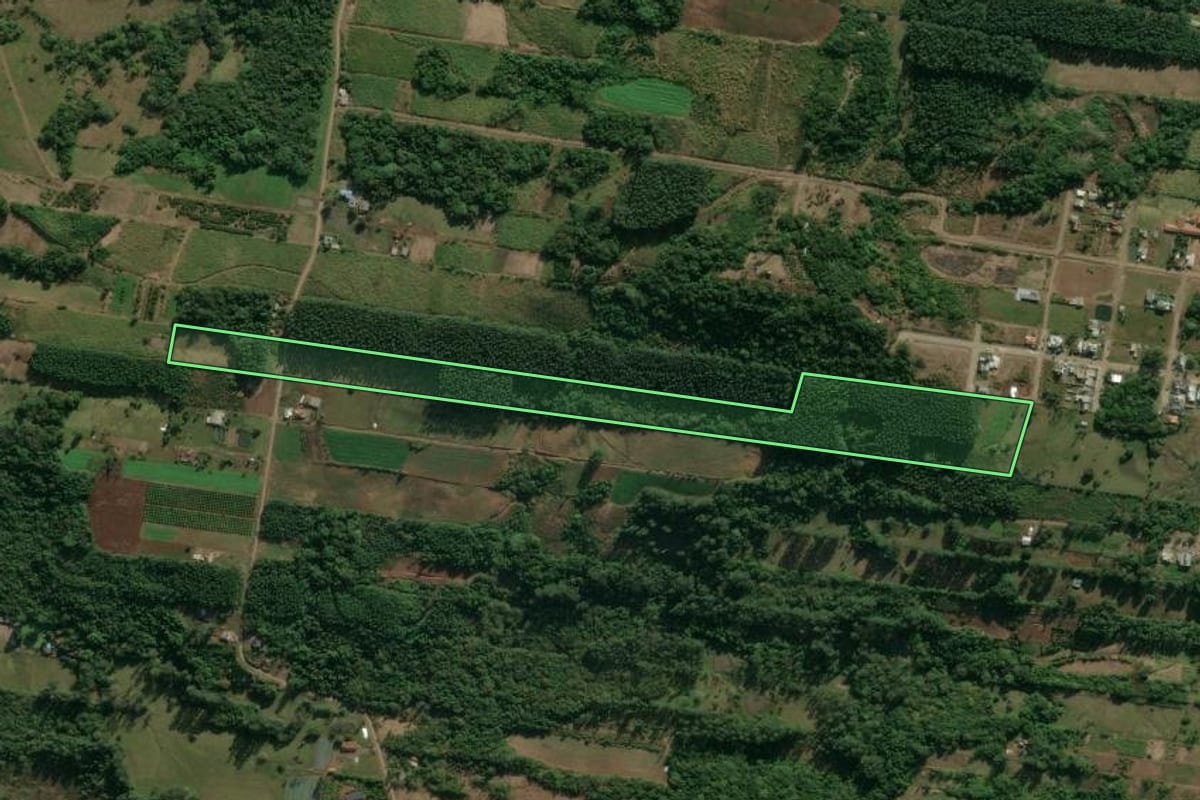 Imagem de satélite do imóvel rural em Presidente Lucena (RS), com o contorno declarado no CAR desenhado por cima.