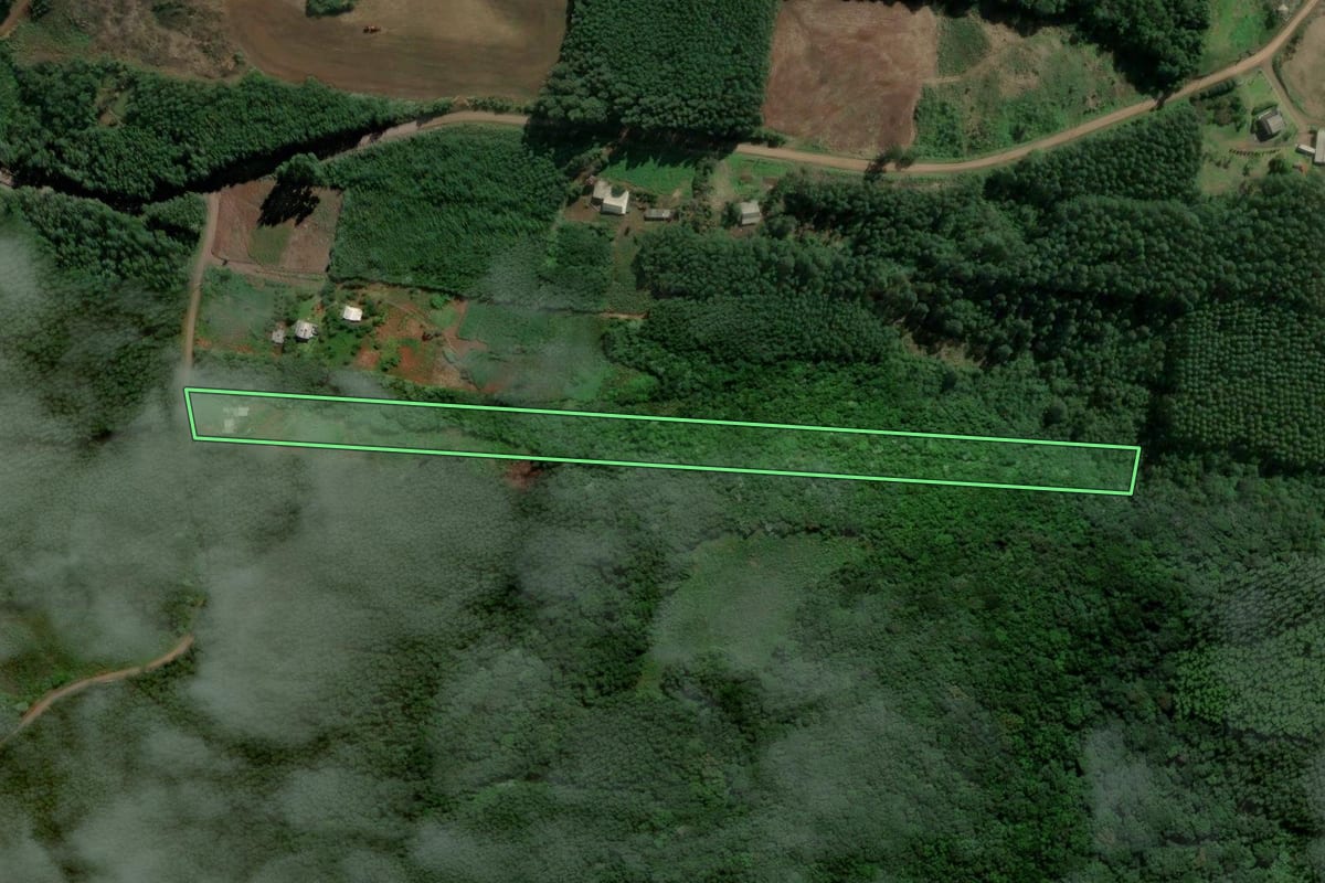Imagem de satélite do imóvel rural em Presidente Lucena (RS), com o contorno declarado no CAR desenhado por cima.