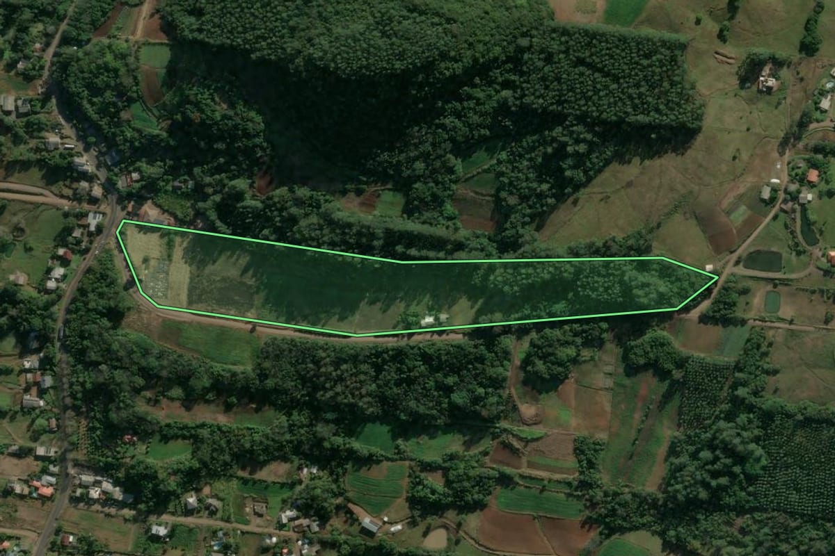 Imagem de satélite do imóvel rural em Presidente Lucena (RS), com o contorno declarado no CAR desenhado por cima.