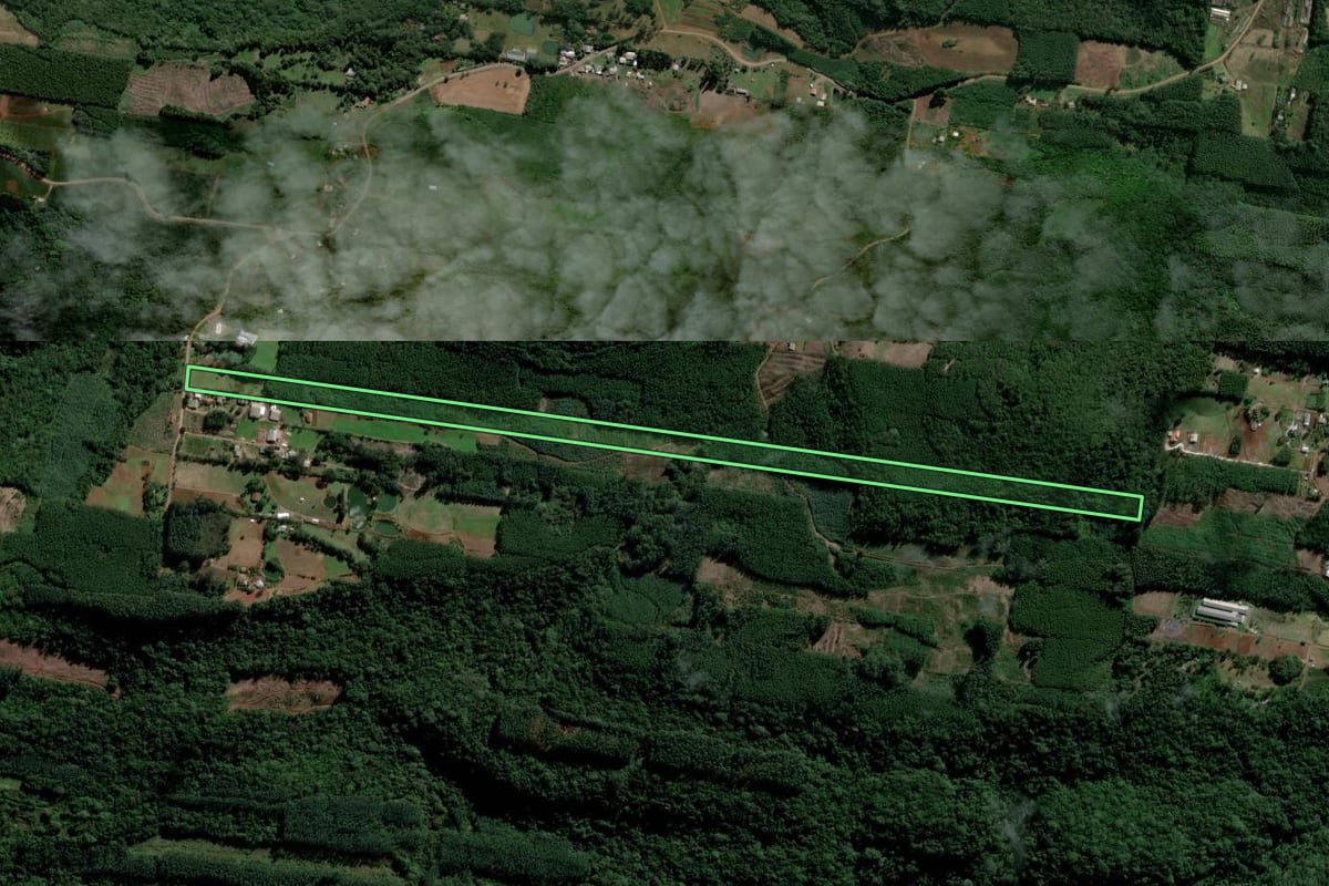 Imagem de satélite do imóvel rural em Presidente Lucena (RS), com o contorno declarado no CAR desenhado por cima.
