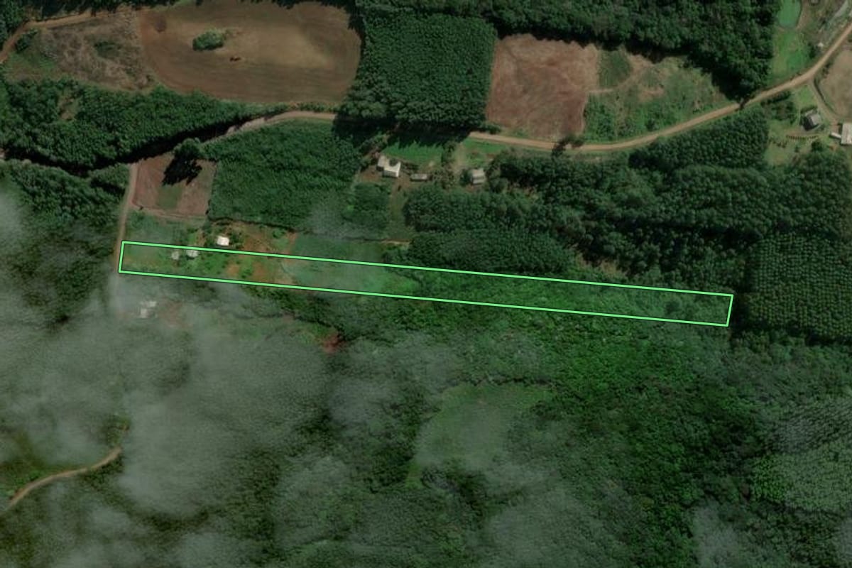 Imagem de satélite do imóvel rural em Presidente Lucena (RS), com o contorno declarado no CAR desenhado por cima.