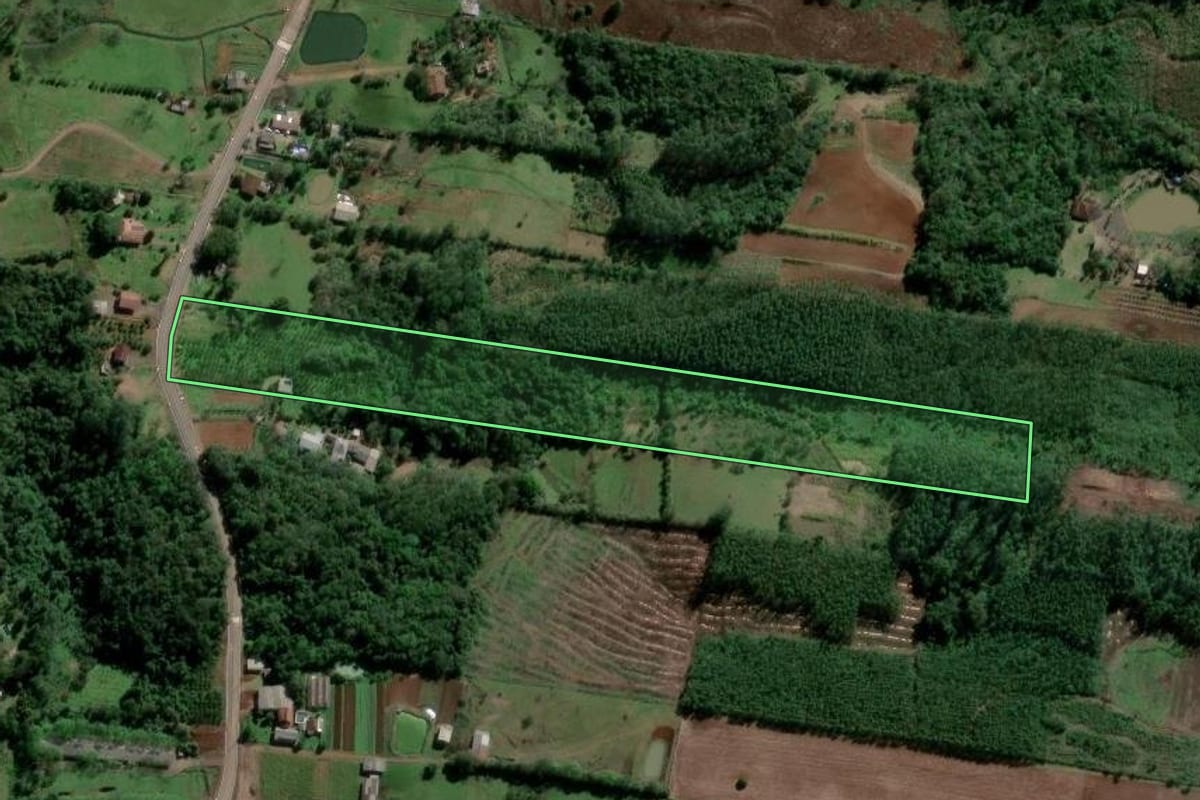 Imagem de satélite do imóvel rural em Presidente Lucena (RS), com o contorno declarado no CAR desenhado por cima.