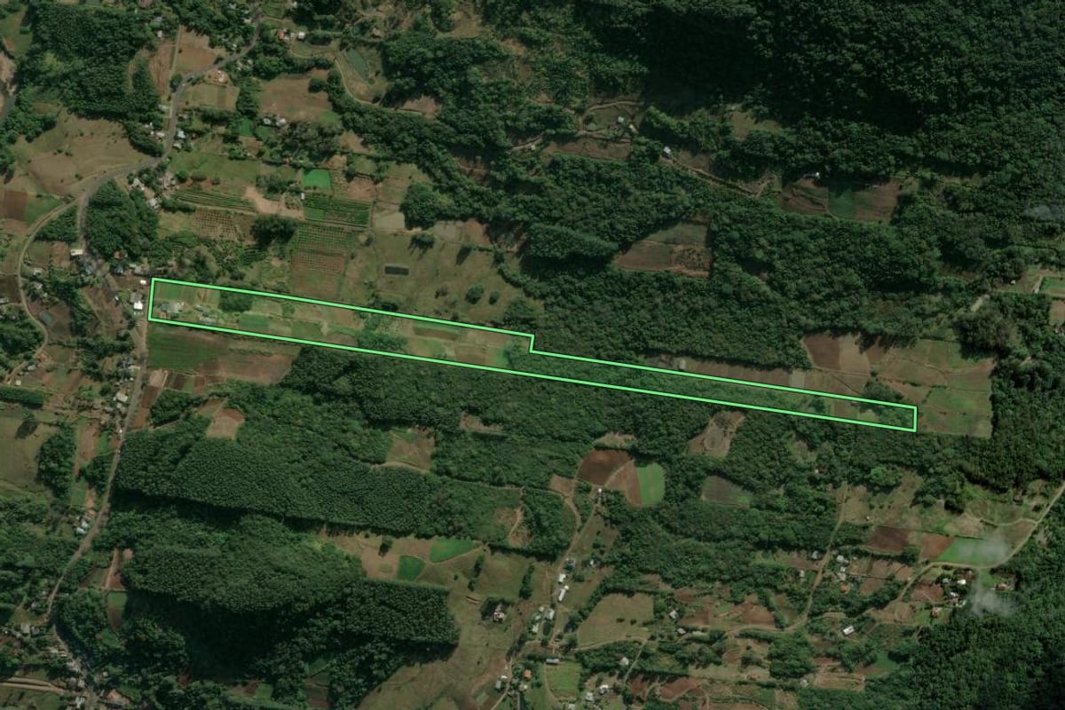 Imagem de satélite do imóvel rural em Presidente Lucena (RS), com o contorno declarado no CAR desenhado por cima.