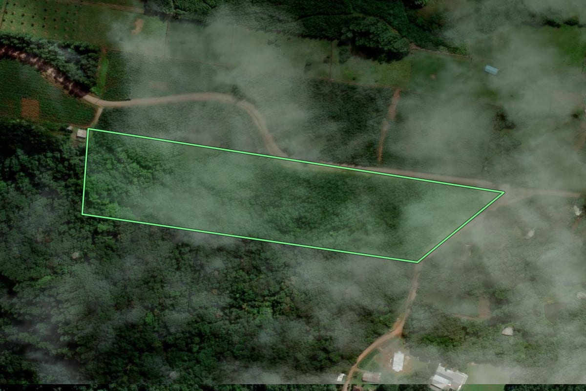 Imagem de satélite do imóvel rural em Presidente Lucena (RS), com o contorno declarado no CAR desenhado por cima.