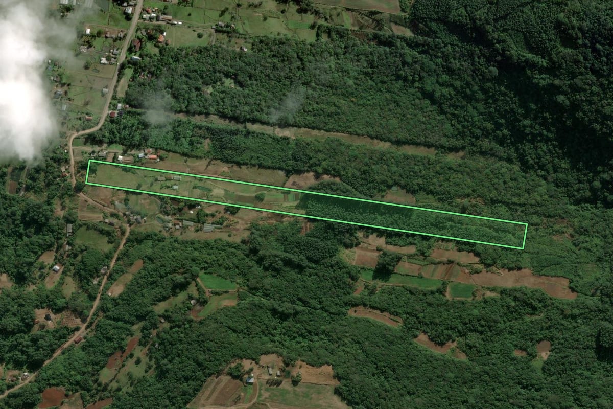 Imagem de satélite do imóvel rural em Presidente Lucena (RS), com o contorno declarado no CAR desenhado por cima.