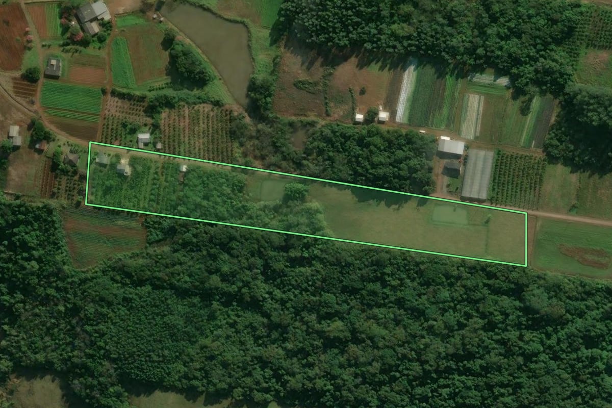 Imagem de satélite do imóvel rural em Presidente Lucena (RS), com o contorno declarado no CAR desenhado por cima.