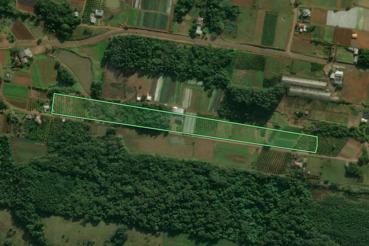Imagem de satélite do imóvel rural em Presidente Lucena (RS), com o contorno declarado no CAR desenhado por cima.