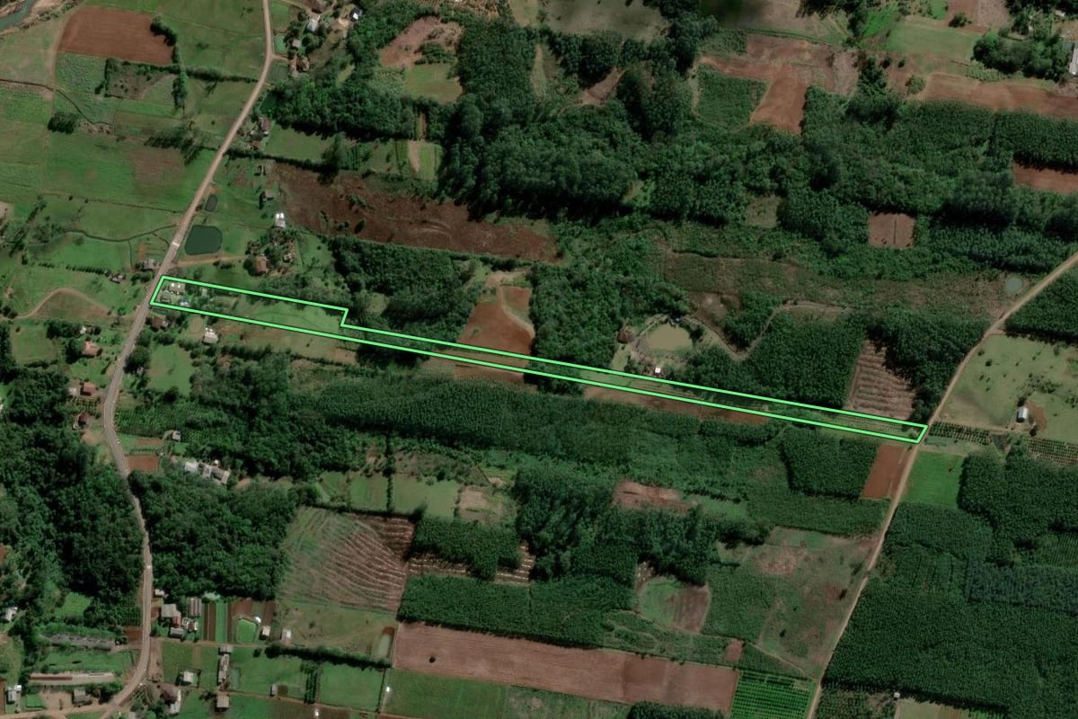 Imagem de satélite do imóvel rural em Presidente Lucena (RS), com o contorno declarado no CAR desenhado por cima.