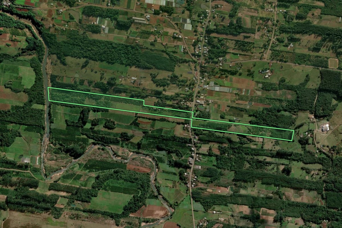 Imagem de satélite do imóvel rural em Presidente Lucena (RS), com o contorno declarado no CAR desenhado por cima.