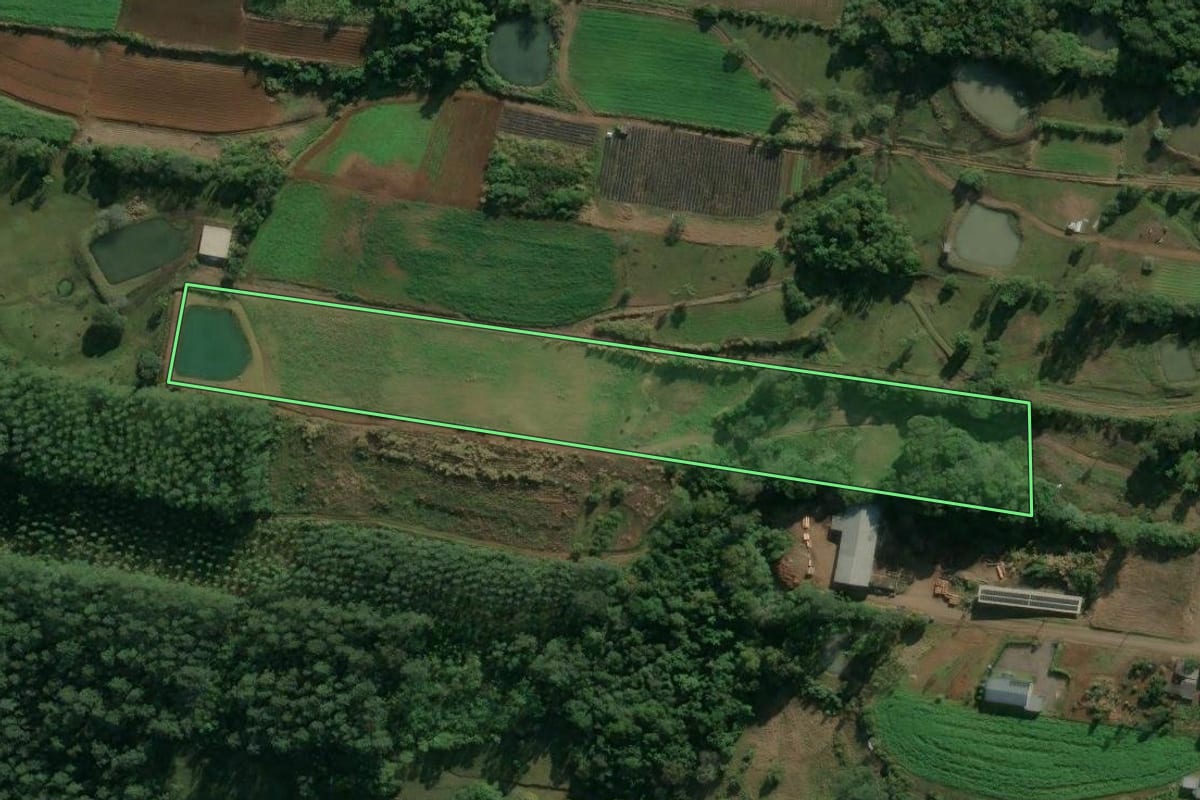 Imagem de satélite do imóvel rural em Presidente Lucena (RS), com o contorno declarado no CAR desenhado por cima.