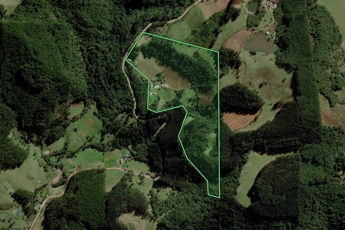 Imagem de satélite do imóvel rural em Progresso (RS), com o contorno declarado no CAR desenhado por cima.