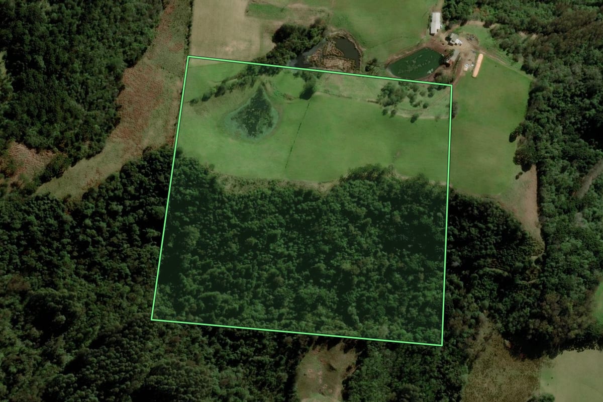 Imagem de satélite do imóvel rural em Progresso (RS), com o contorno declarado no CAR desenhado por cima.