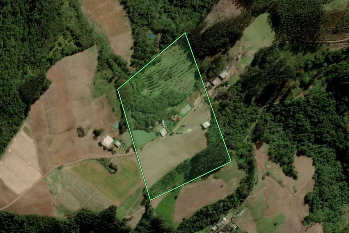 Imagem de satélite do imóvel rural em Progresso (RS), com o contorno declarado no CAR desenhado por cima.