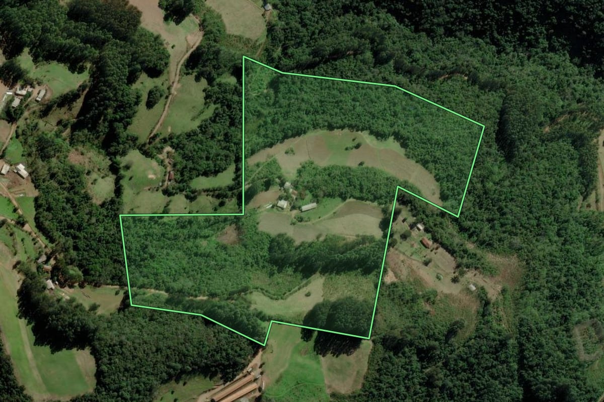 Imagem de satélite do imóvel rural em Progresso (RS), com o contorno declarado no CAR desenhado por cima.