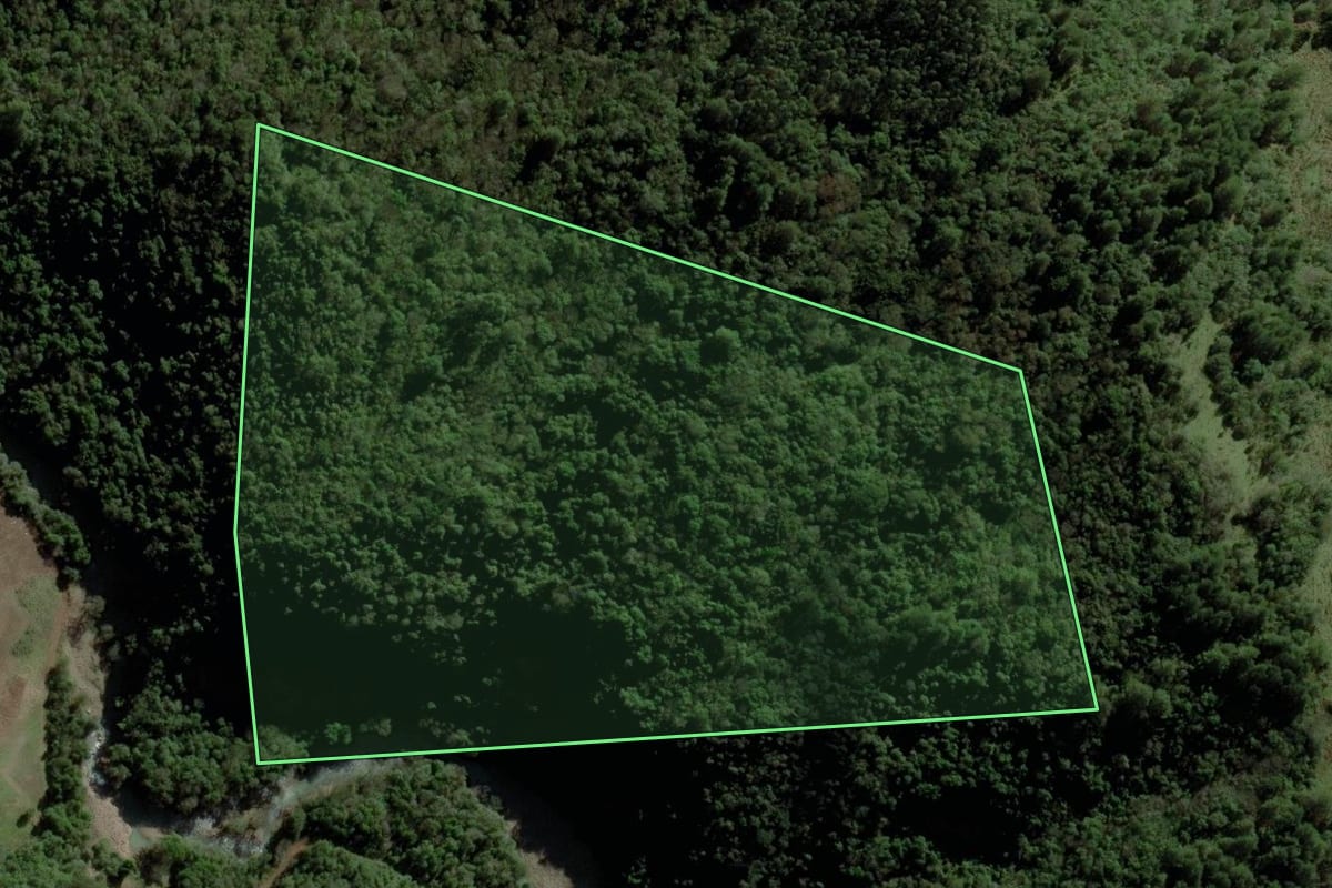 Imagem de satélite do imóvel rural em Progresso (RS), com o contorno declarado no CAR desenhado por cima.