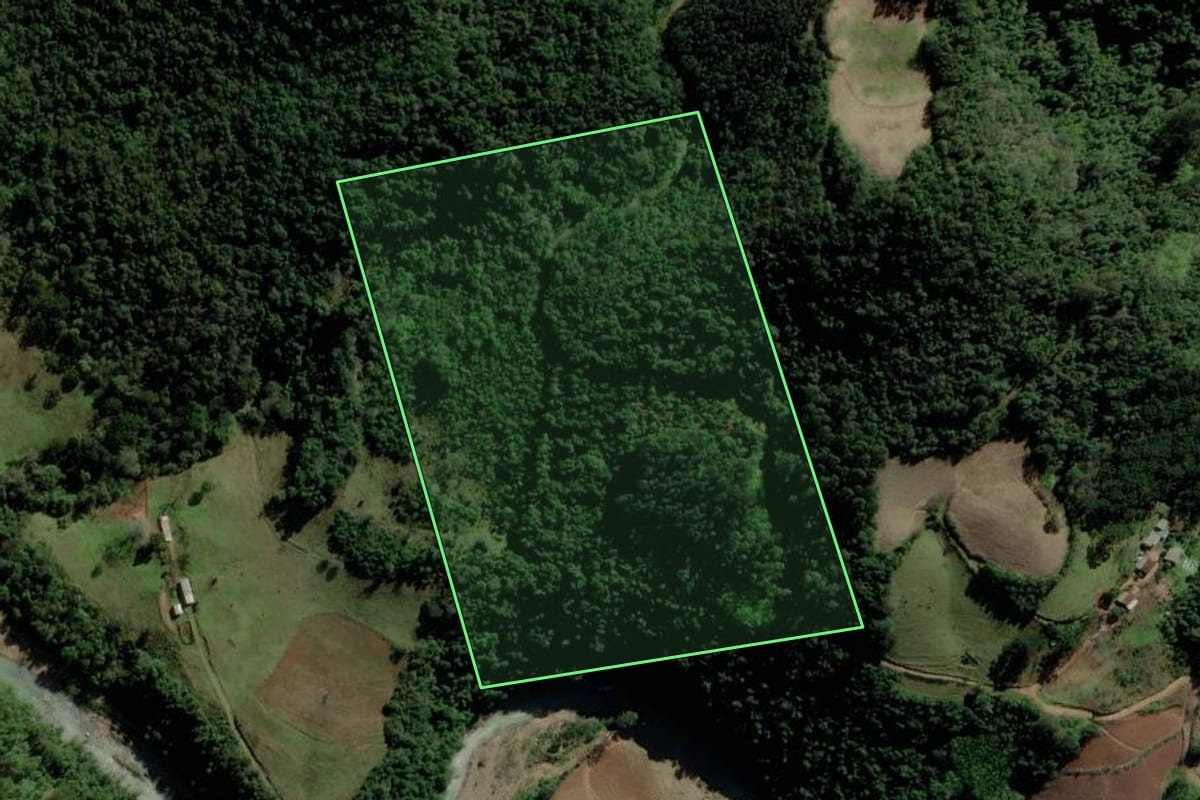 Imagem de satélite do imóvel rural em Progresso (RS), com o contorno declarado no CAR desenhado por cima.