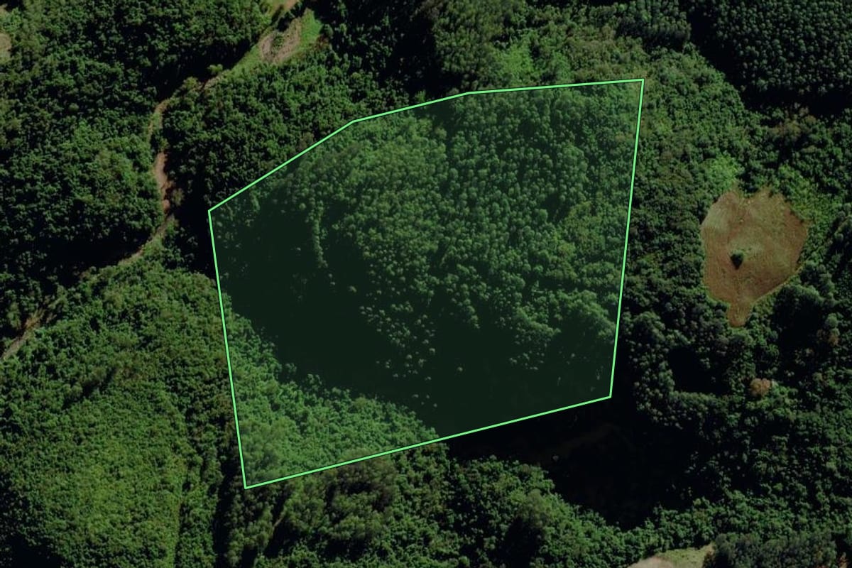 Imagem de satélite do imóvel rural em Progresso (RS), com o contorno declarado no CAR desenhado por cima.
