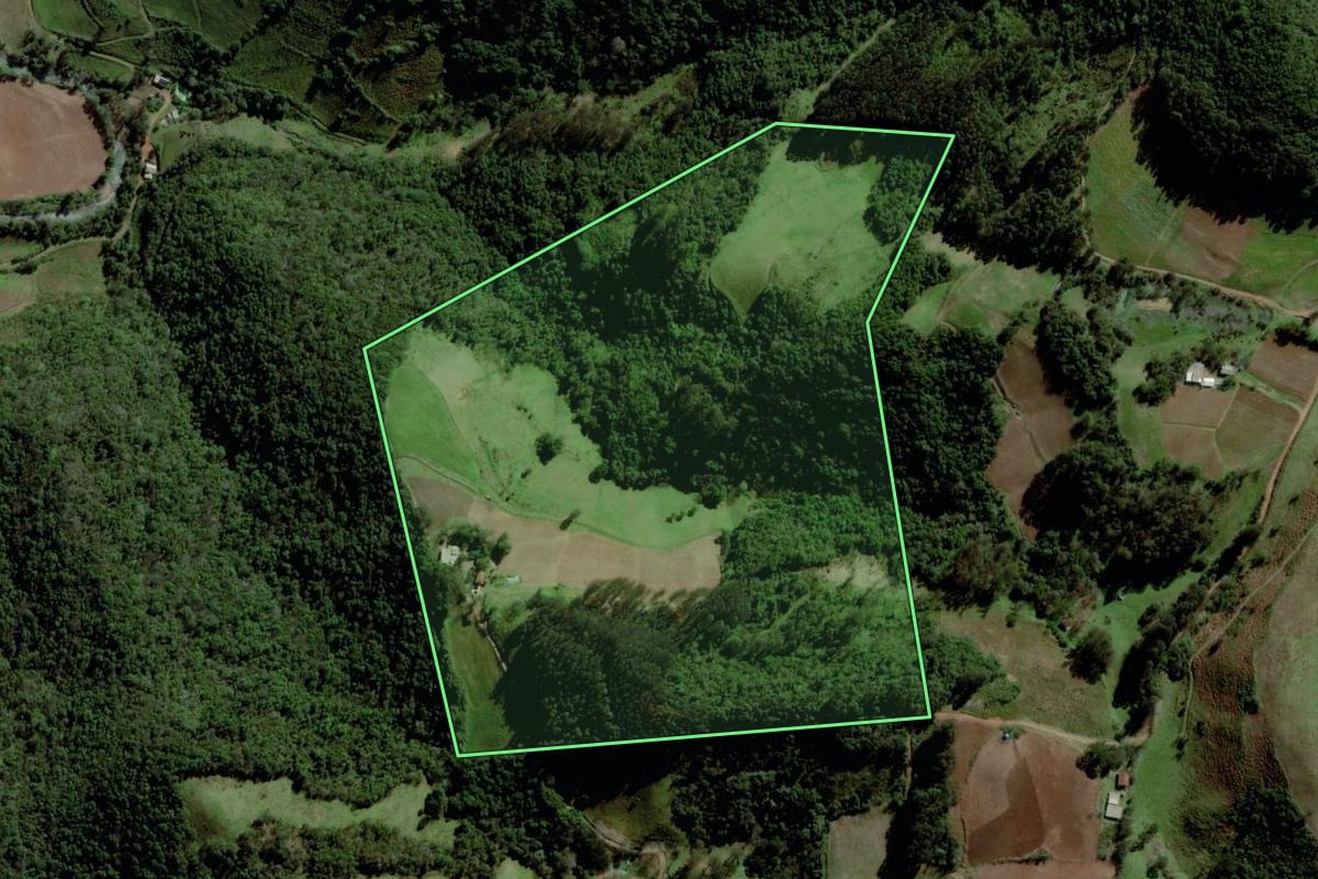 Imagem de satélite do imóvel rural em Progresso (RS), com o contorno declarado no CAR desenhado por cima.