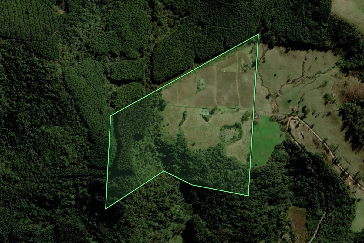 Imagem de satélite do imóvel rural em Progresso (RS), com o contorno declarado no CAR desenhado por cima.